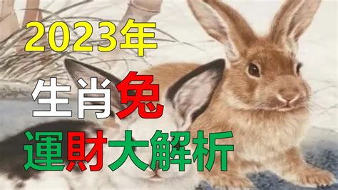 屬兔 2023 運勢|2023「十二生肖財運、犯太歲、運勢」！屬兔犯太歲。